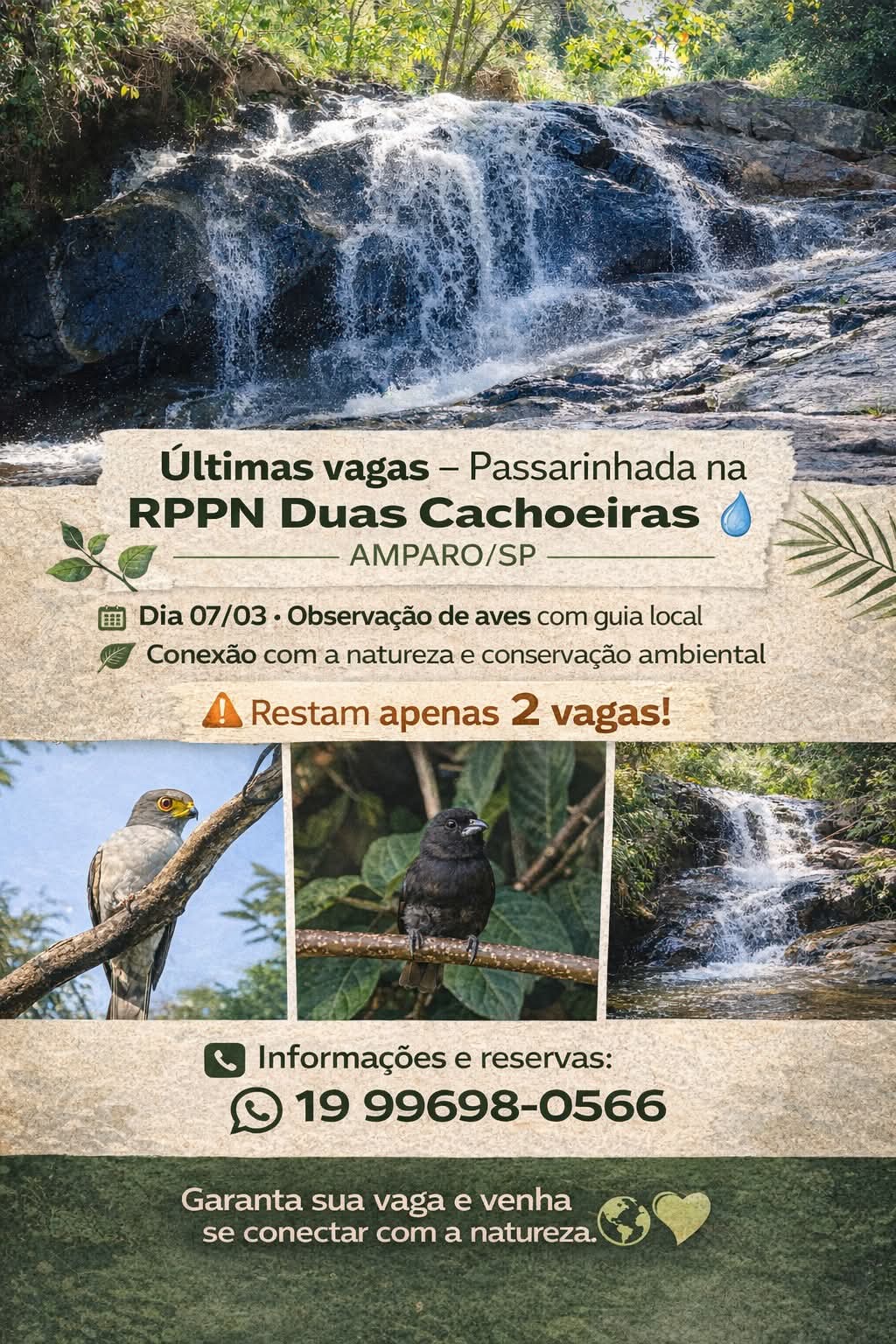 Imagem dos Posts em Andamento